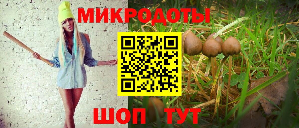 Галлюциногенные грибы Cubensis Котельники