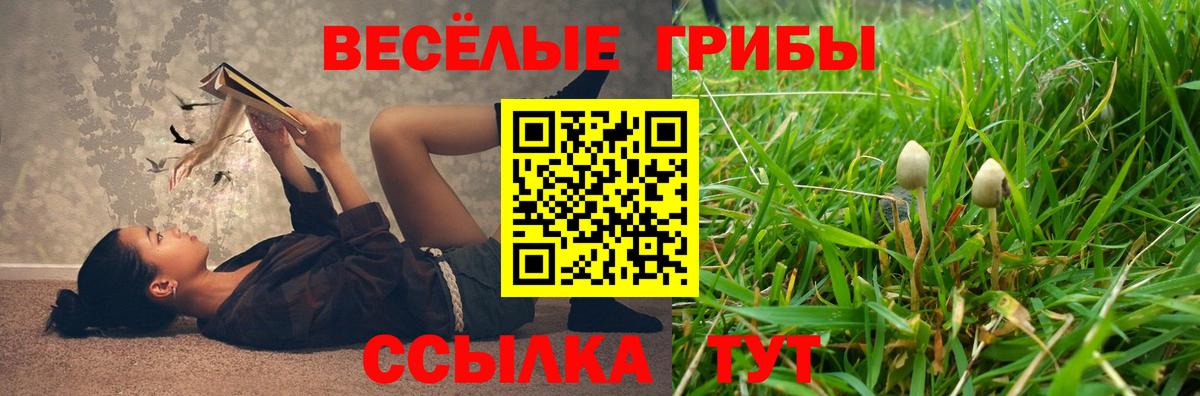 Псилоцибиновые грибы GOLDEN TEACHER  Галлюциногенные грибы Psilocybe  Котельники  Вход с VPN 